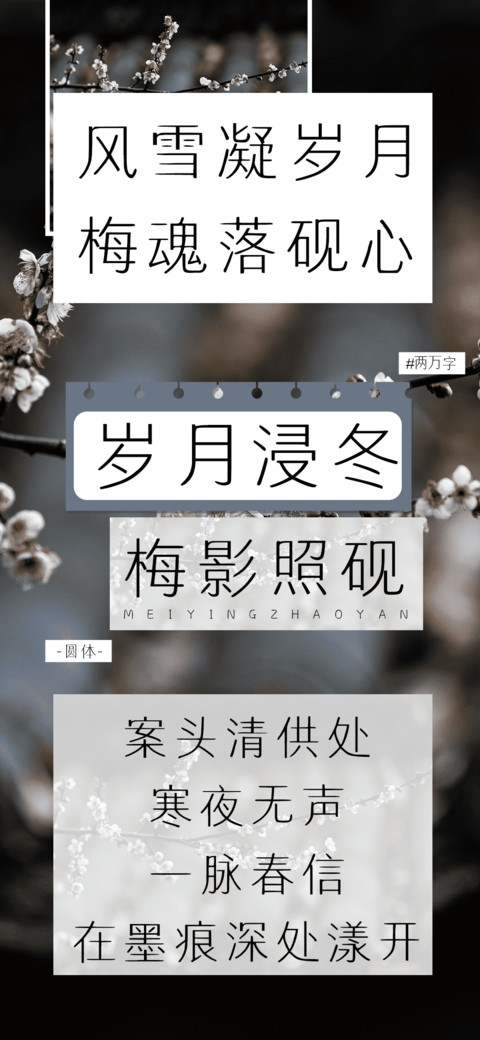 岁月浸冬梅影照砚 screenshot
