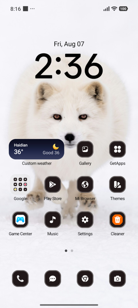Arctic Fox screenshot