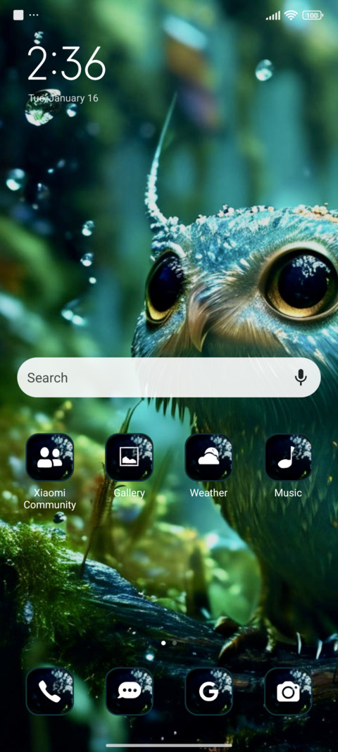 Rain owl screenshot