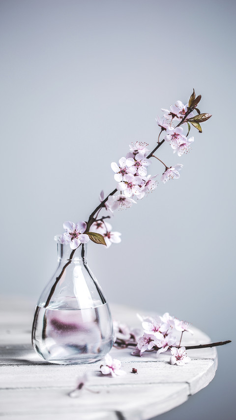 5 minutes learn flower arranging skills 1 screenshot