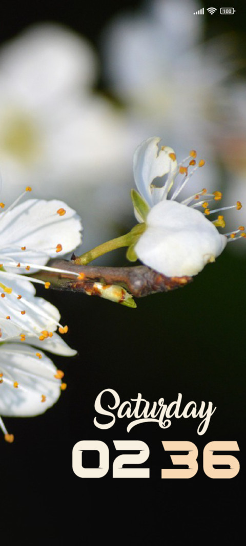 White Leaf screenshot