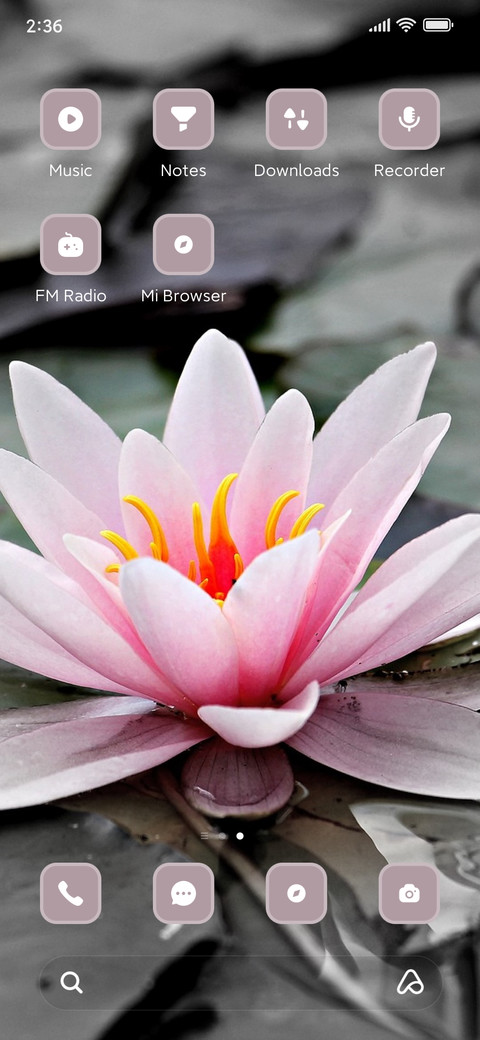 Lily screenshot