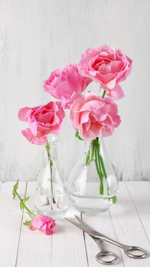 How to make exquisite hydroponic potted plants 3 screenshot