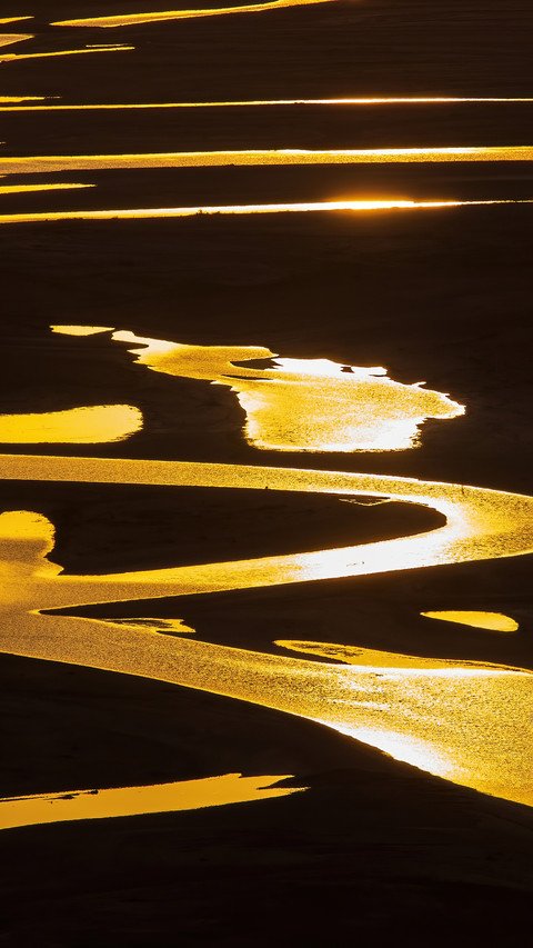 Capture the gilded tidal flats in the frame screenshot
