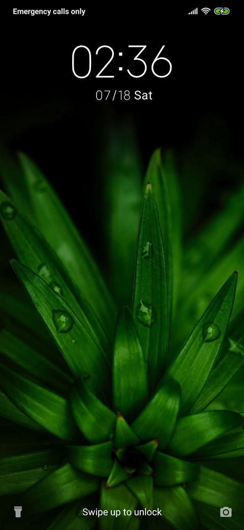 Green Plants_3MDS screenshot