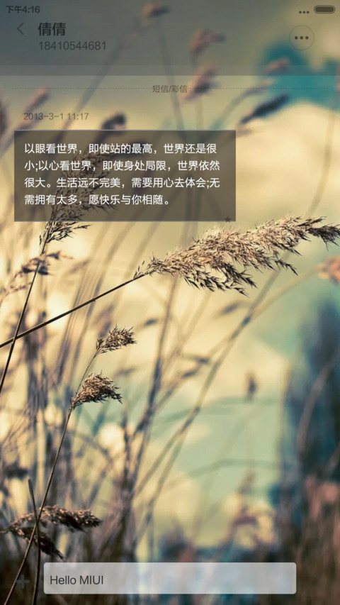 时间锁-清幽麦穗（注意解锁） screenshot