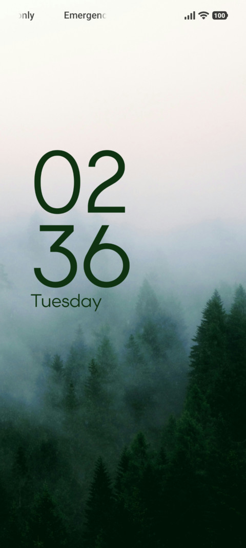 Misty Wildways screenshot
