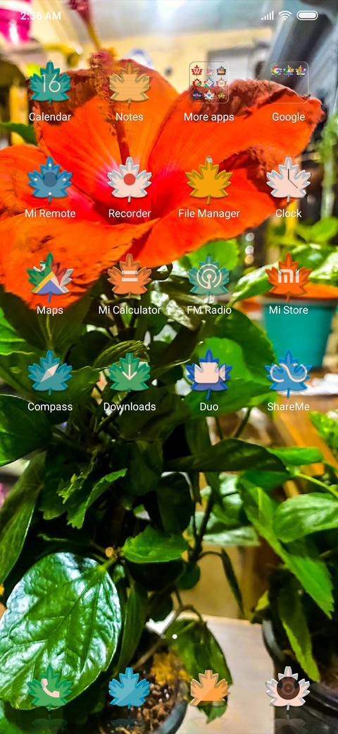 Orange Flowers_DWM3 screenshot