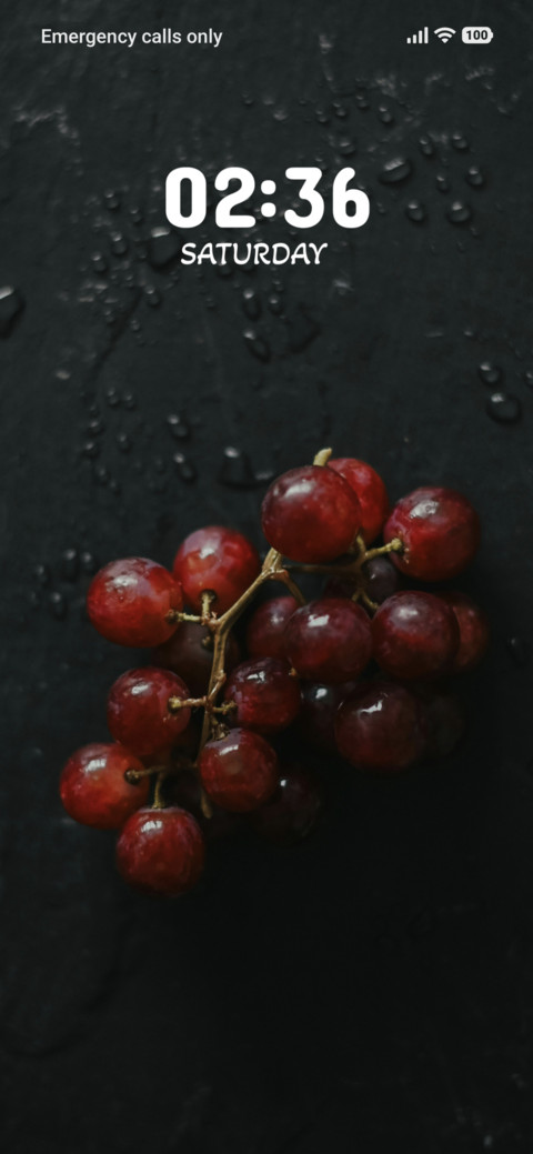 Midnight Berries screenshot