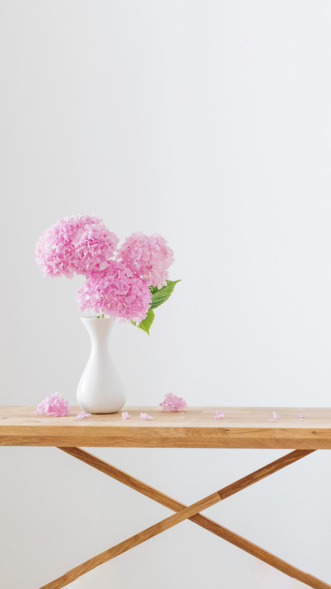 pink hydrangea in white vase on wooden shelf on wall screenshot