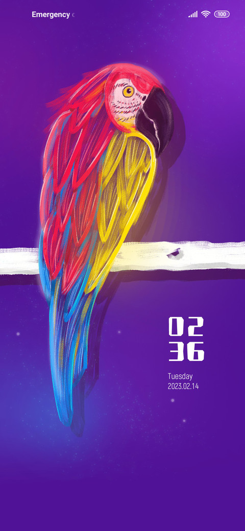 Colorful macaw screenshot