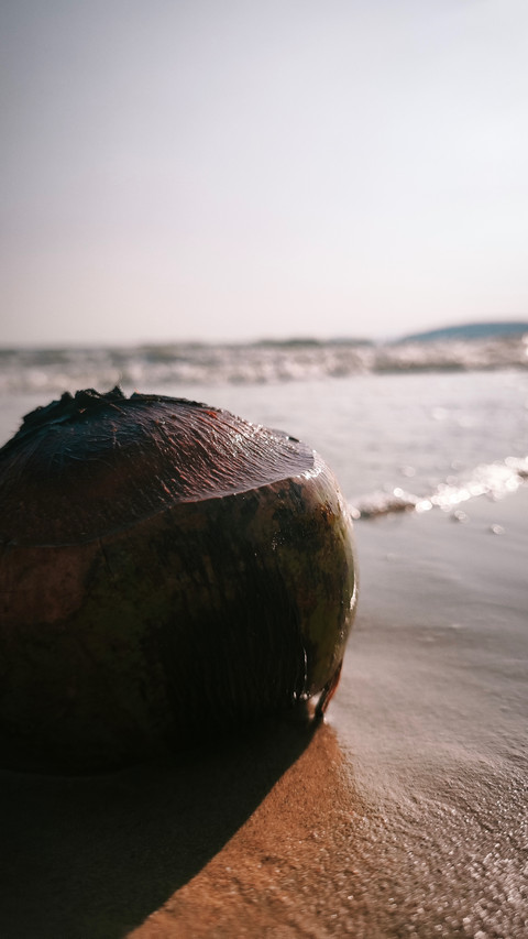 Stranded screenshot