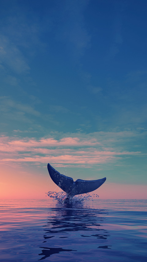 Which way swims faster 40 screenshot