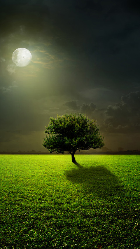 Green eye protection prairie wallpaper screenshot