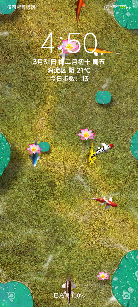 锦鲤 screenshot