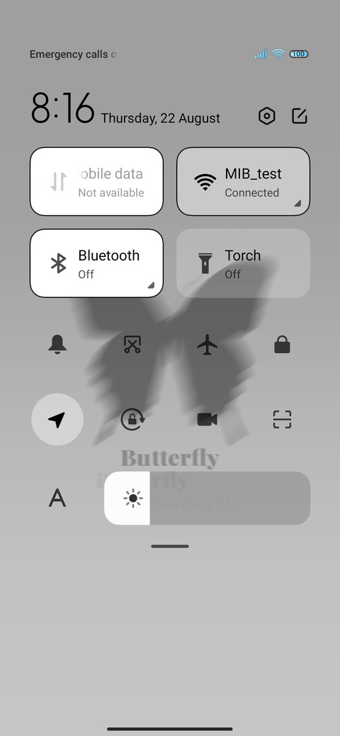 Black Butterfly screenshot