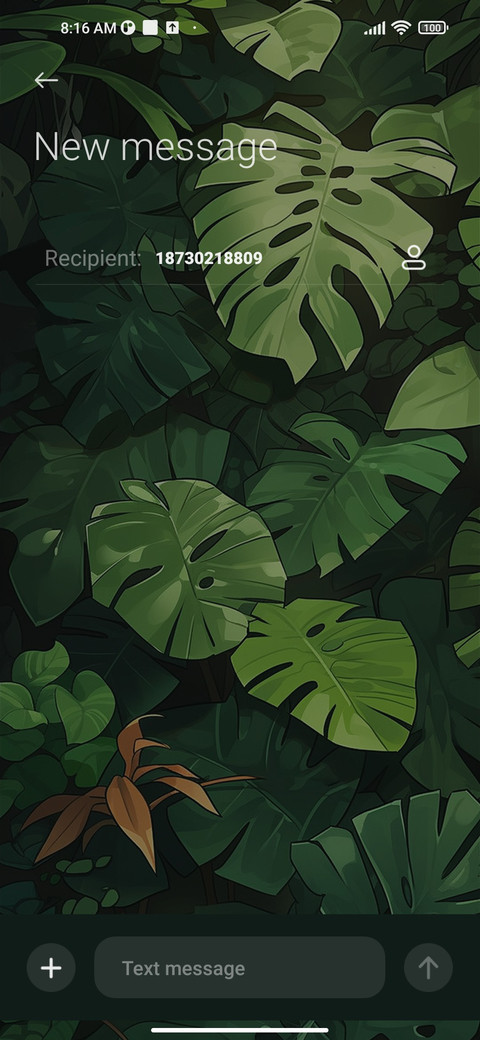 Rainforest Clock screenshot