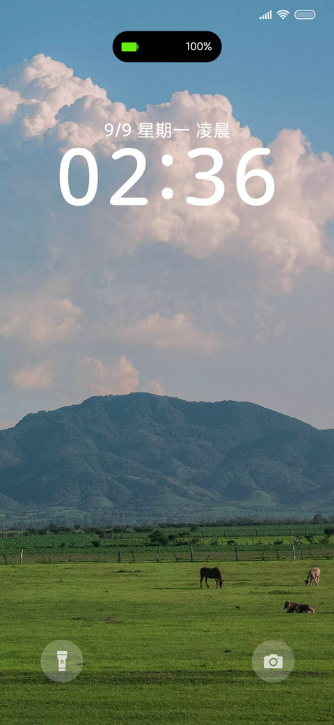清新简约 小清新绿 screenshot
