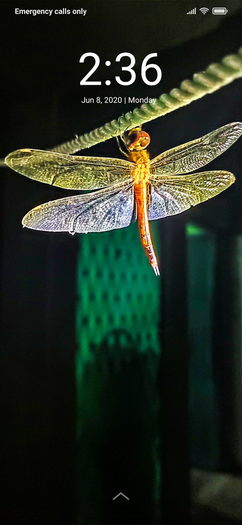 Dragon Fly_DWM2 screenshot