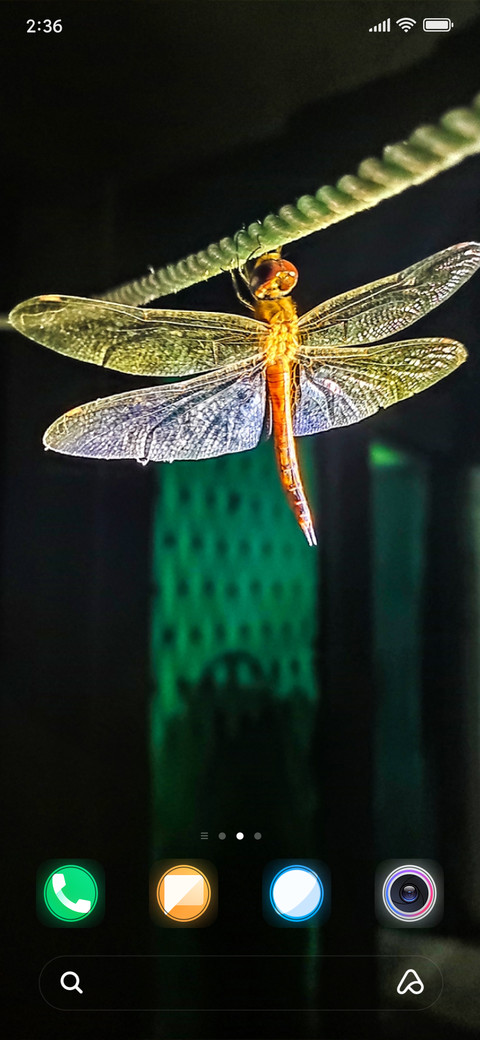 Dragon Fly_DWM2 screenshot