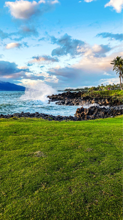 Hawaiian sea view 2 screenshot