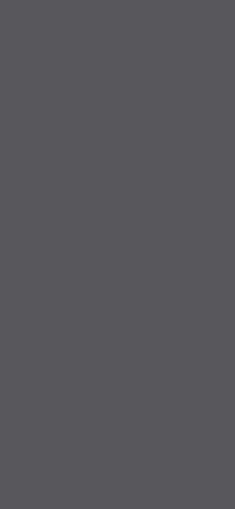 灰主题 screenshot