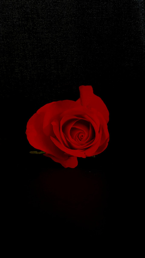 Romantic (7) screenshot