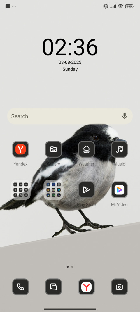 Bird screenshot
