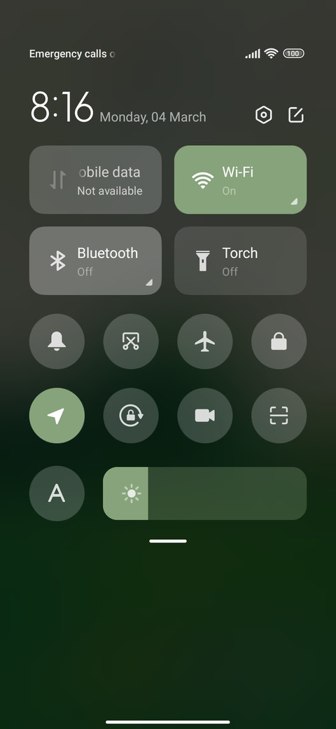 Green Mood screenshot