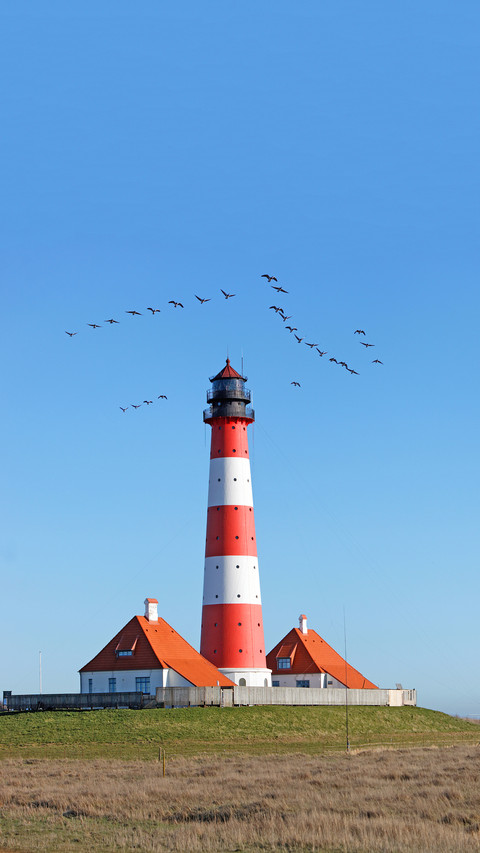 Germany north frisia westerhever eiderstedt screenshot