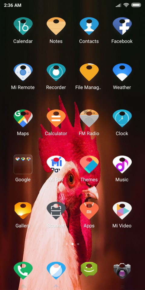 Chicken_DWM19 screenshot
