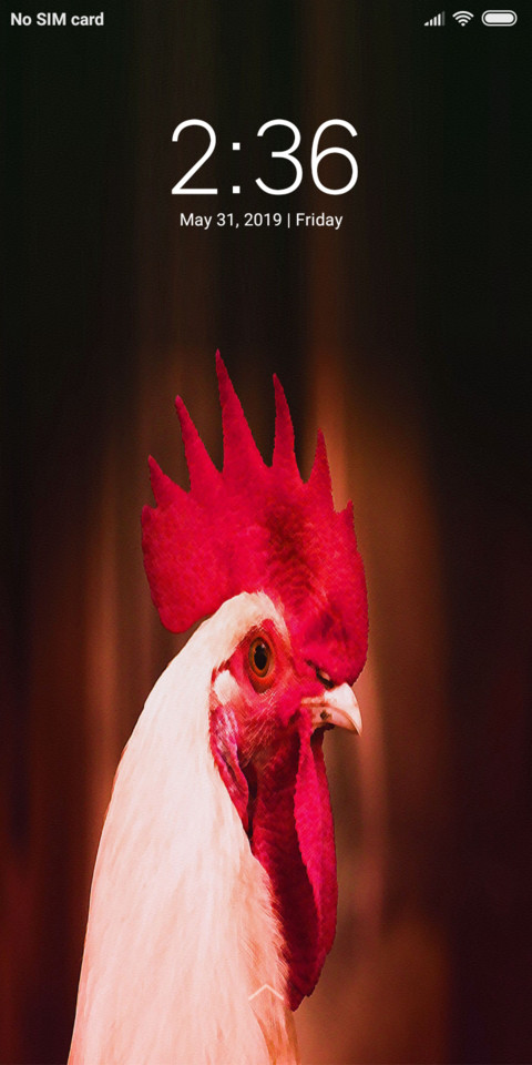 Chicken_DWM19 screenshot
