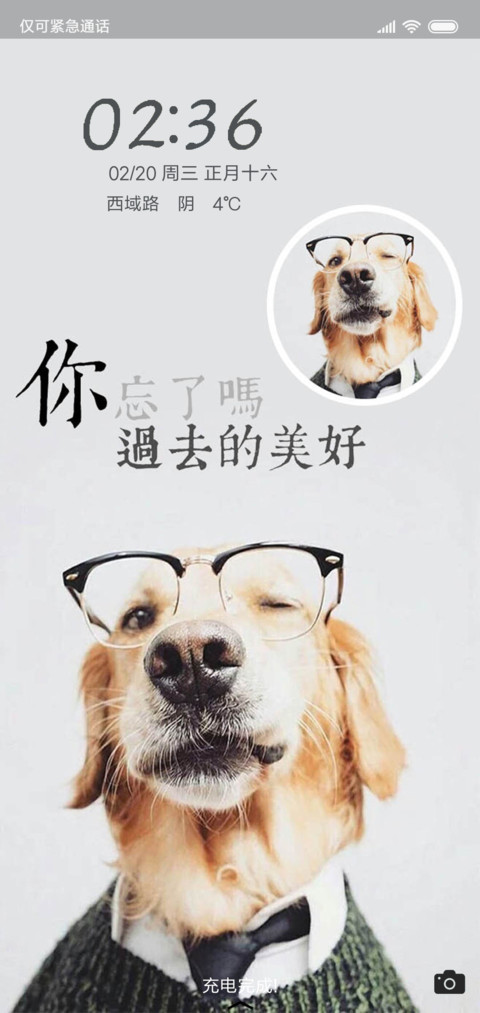 你忘了吗 screenshot
