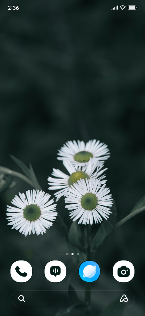 Monochrome Daisy screenshot