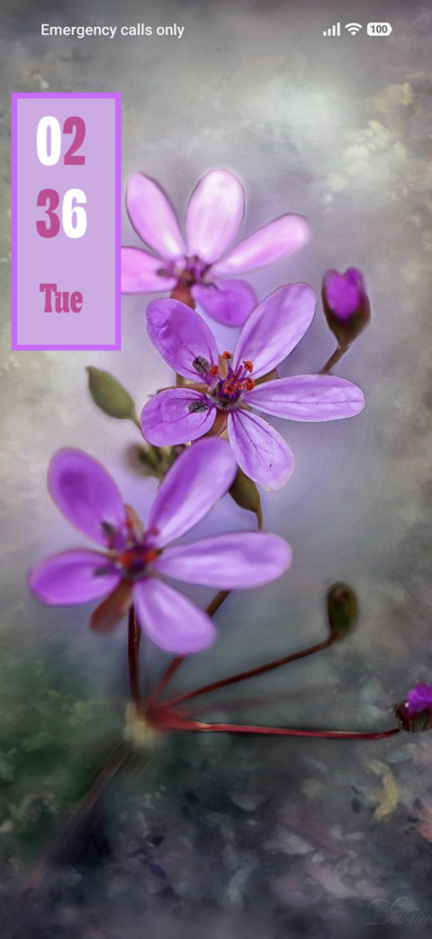Violet Flower screenshot