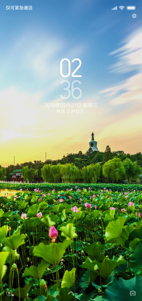 荷莲 screenshot