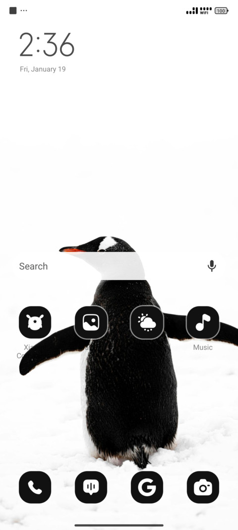Gentoo Penguin screenshot