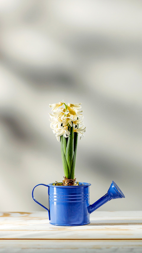 Table background of free space and spring fresh flowers screenshot