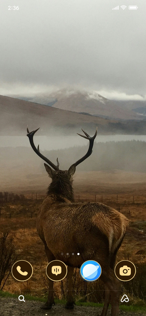 Hill Deer screenshot