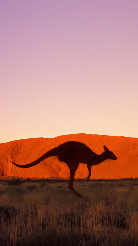 Australia screenshot