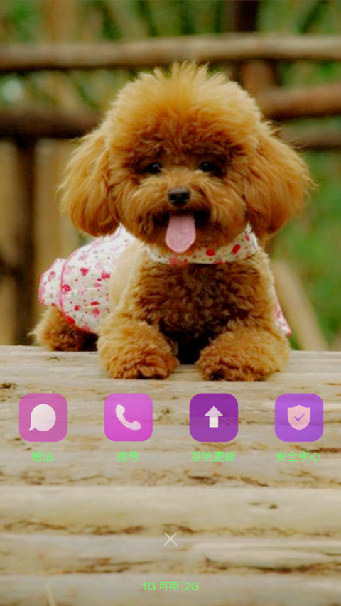 爱 宠物 screenshot