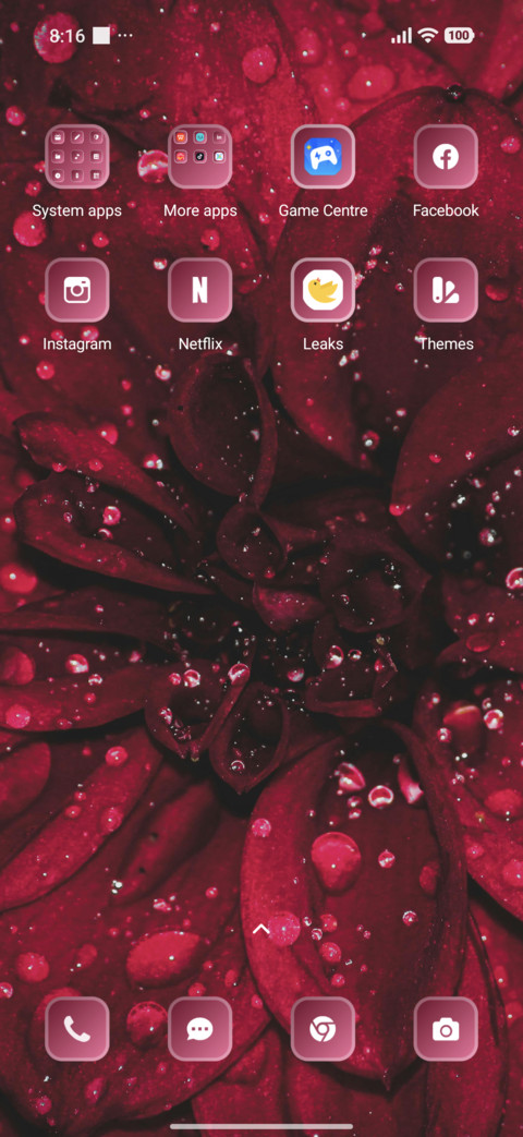 Dahlia Flower screenshot