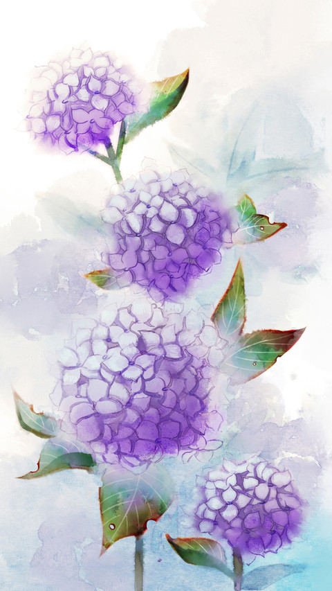 一花一语 screenshot