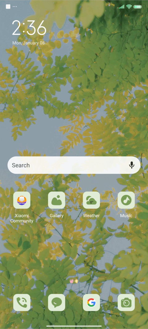 Eye care green screenshot