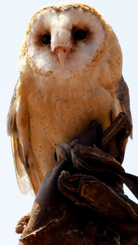 112093_1440x2560.jpg screenshot