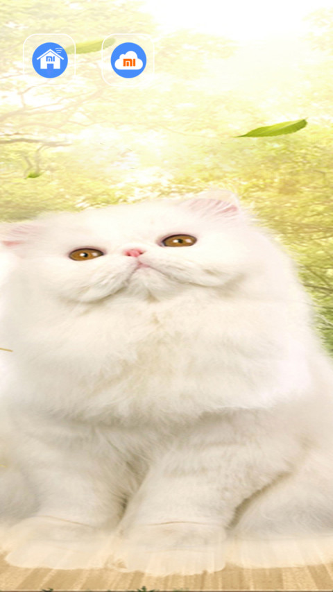 萌萌猫 screenshot