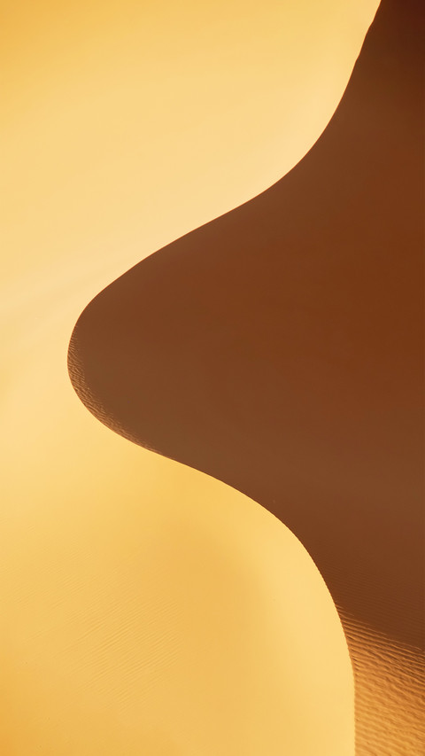 Crossing the vast sahara screenshot