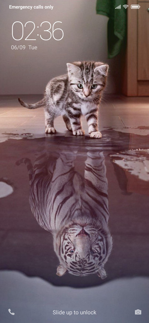 Cat Power NY screenshot