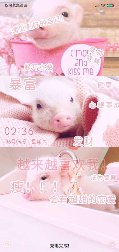 猪年福运 小香猪 screenshot