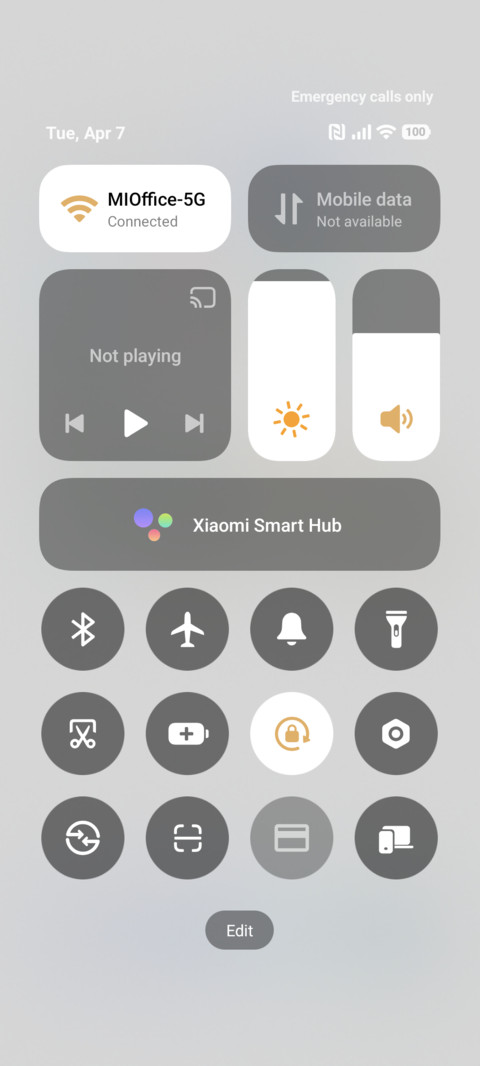 Succulent Widget screenshot
